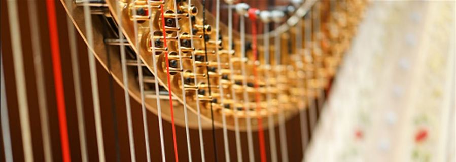 What’s Different about Classical Music&nbsp;Genre